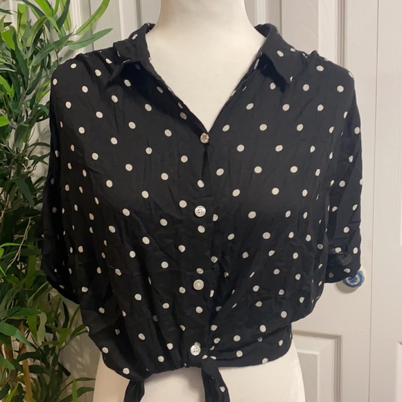 Hollister Crop shirt - size large - Picture 2 of 6